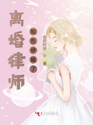 离婚律师她想结婚了小说